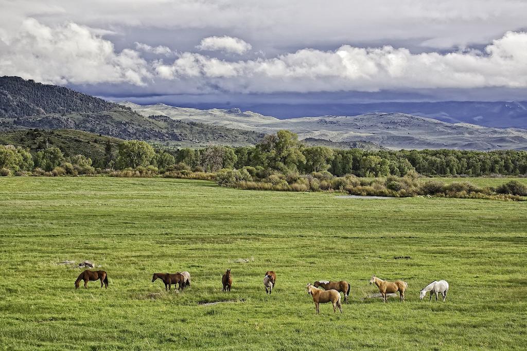 The Lodge & Spa At Brush Creek Ranch Saratoga Екстериор снимка